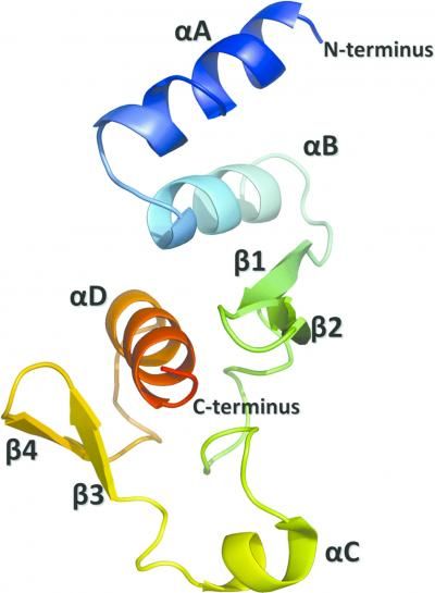 Dziubanska et al.