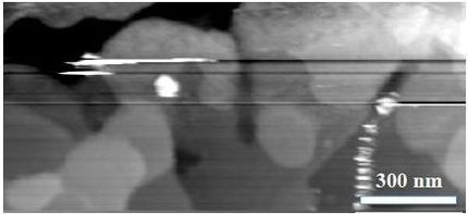 Tuebinger Nahfeldmikroskop liefert hoechstaufgeloeste optische Bilder eines organischen Halbleiters