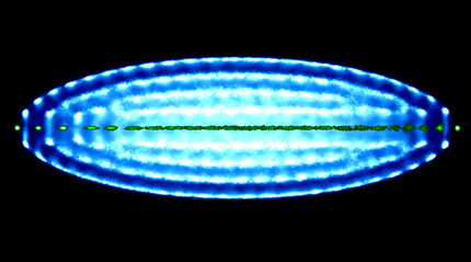 Uncovering the Forbidden Side of Molecules