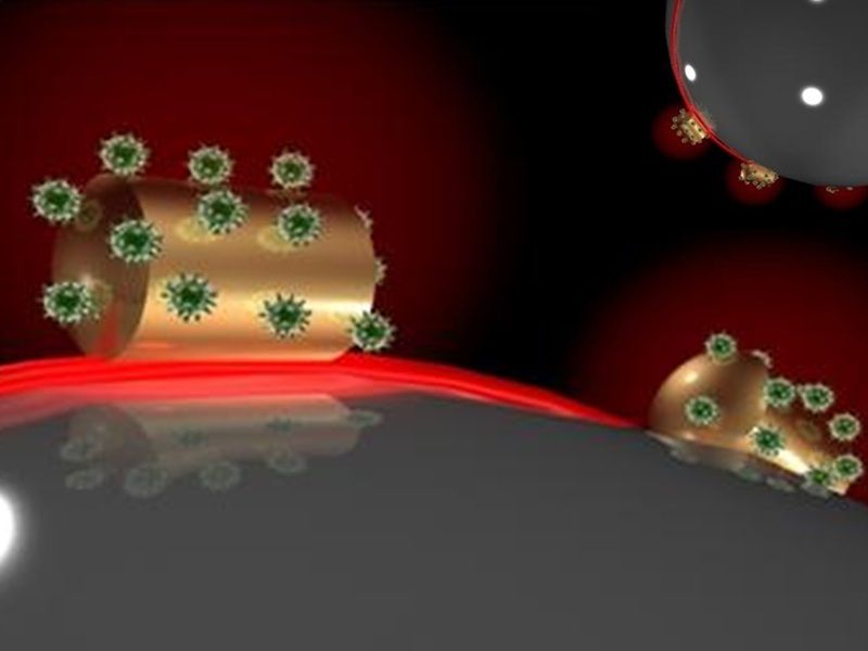 A molecule in an optical whispering gallery - With the help of a microsphere and a nanowire, single unlabelled biomolecules can be detected through light