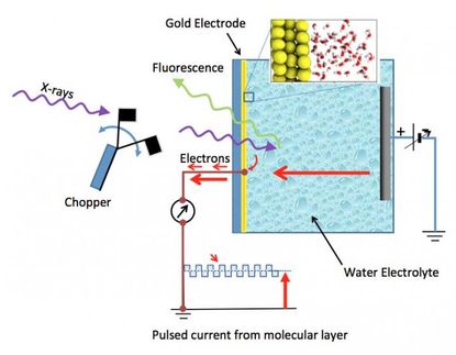 Schematic of electrochemical cell