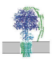 Montagefehler in Nano-Turbine entschlüsselt