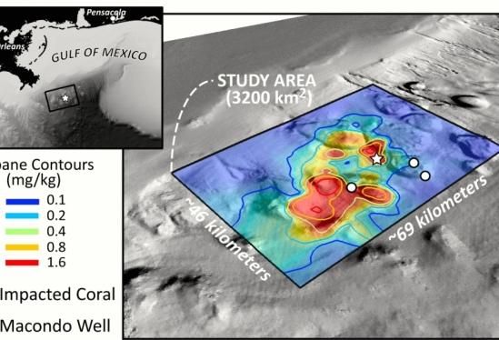 Where did all the oil go? - A UCSB professor's analysis traces oil from the 2010 Deepwater Horizon event to its resting place on the Gulf of Mexico's deep floor