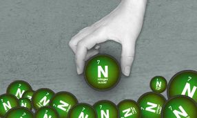 nitrogenase to convert nitrogen