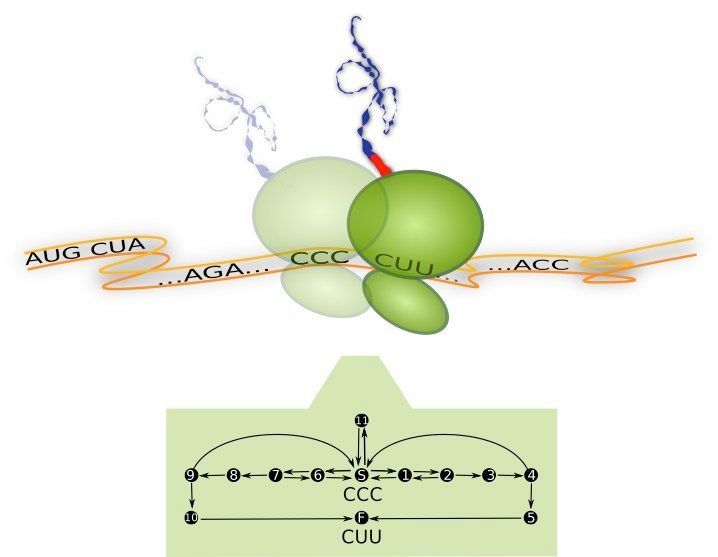 Max Planck Institutes of Colloids and Interfaces