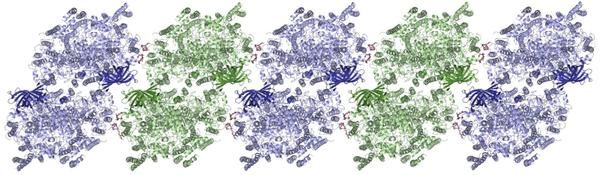 Photosynthese im Röntgenblick - Neue Technik ermöglicht Analyse von Biomolekülen in naturnaher Form