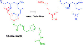 marineproductsynthesis