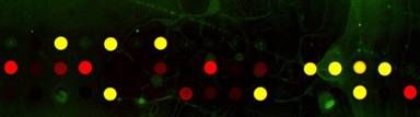 Patent granted to Arrayjet for microarray fabrication