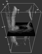 Neue Methode liefert 3D-Bilder über die Chemie der Zelle