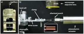 Measuring strain on micropillar