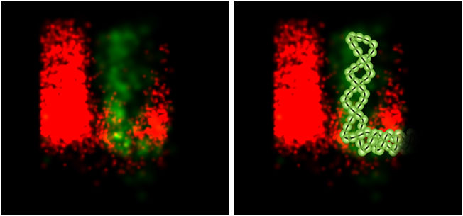 Liedmann et al., Nature Communications