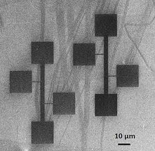 Widerstandsfähig und leitend – Nano-Drähte aus Kohlenstoff