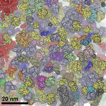 Measurable for the first time: How bio molecules react to lack of space