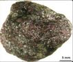 Udachnaya diamondiferous peridotite
