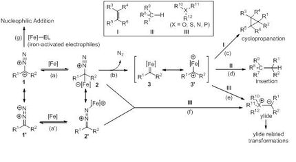 iron-catalyzed transformations of diazo compounds.