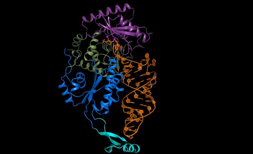 In a role reversal, RNAs proofread themselves - Molecular photographs of an enzyme bound to RNA reveal a new, inherent quality control mechanism