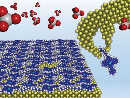 Nanostrukturen, die sich auf Knopfdruck bilden