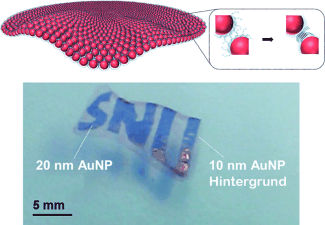 Monoschichten aus Goldnanopartikeln