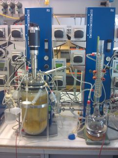 Bioreaktor