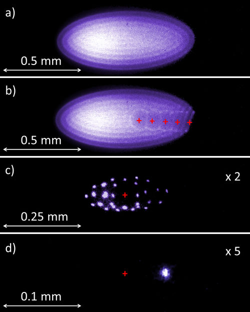 MPI für Kernphysik