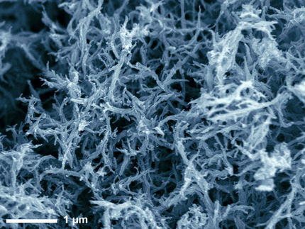 Schwämme aus Nanozellulose saugen Öl in Sekundenschnelle auf 