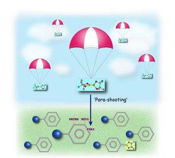boron on the para-position of a benzene ring