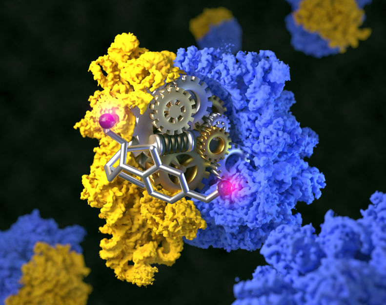 © Wen-Ti Liu / Max-Planck-Institut für biophysikalische Chemie