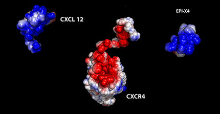 Descubierta la estructura atómica de una proteína que inhibe la propagación de un tipo de virus del sida