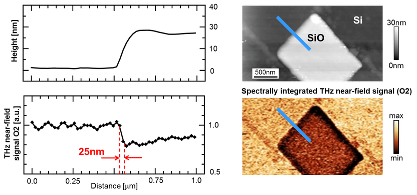 Terahertz goes Nano: Hochauflösende Terahertz-Nahfeld-Mikroskopie