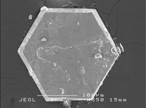 single crystal of SrCo6O11