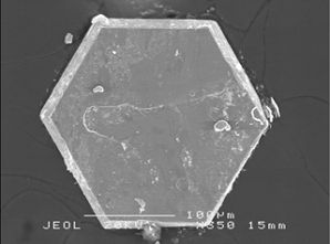 “Teufelstreppe” in einem Spin-Ventil-System