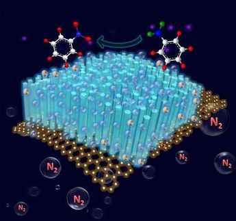 Plantations of nanorods on carpets of graphene capture the Sun's energy