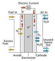 fuel cell catalyst