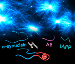 Knick im Molekül macht Parkinson-Protein zum Aggregations-Hemmer
