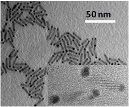 nanorod CdSe