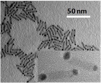 nanorod CdSe