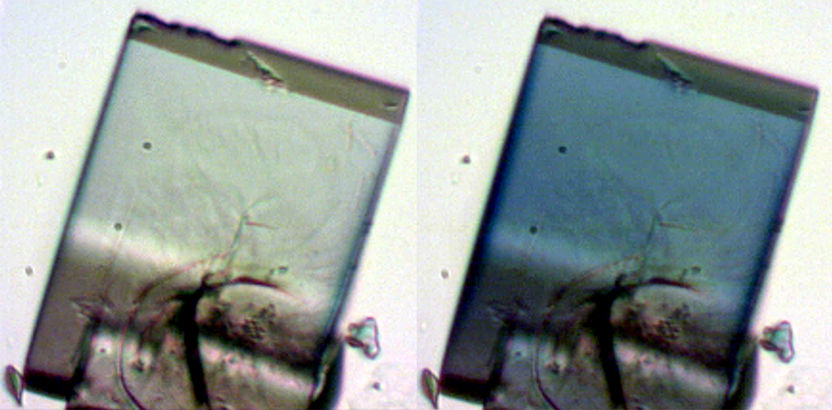 Tiny, light-activated crystal sponges fail over time. Why?