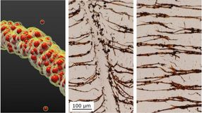 nanoparticles temperature responsive