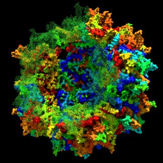 virus gene therapy