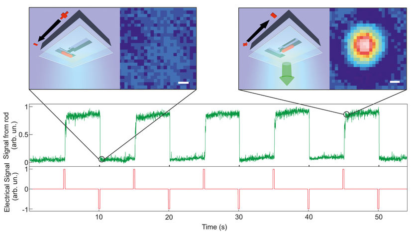 High-precision control of nanoparticles for digital applications