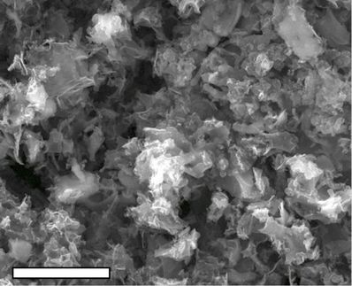 graphene catalysis