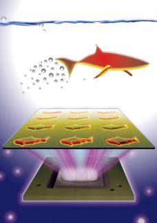 3d printing nanoparticles detox