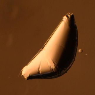 liquids sheets