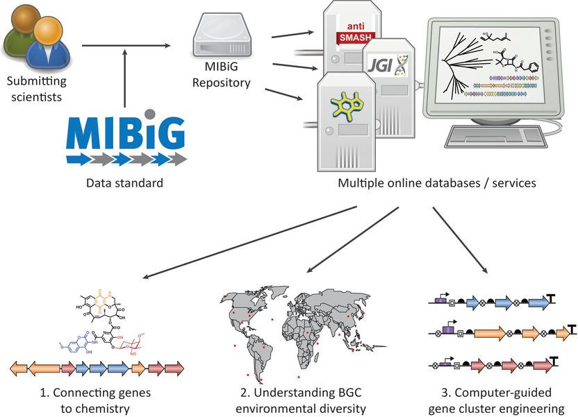 http://mibig.secondarymetabolites.org/index.html