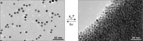 self assembly nanoparticles light-sensitive
