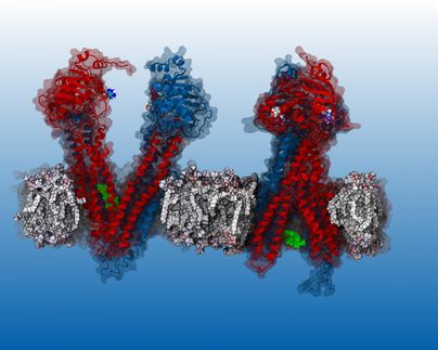 inhibition cell pump