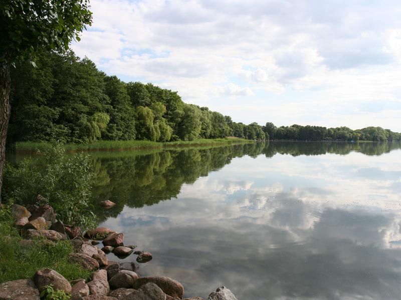 Spurensuche im Grundwasser - Wissenschaftler identifizieren das Grundwasser als Quelle hoher Phosphor-Belastungen von Seen