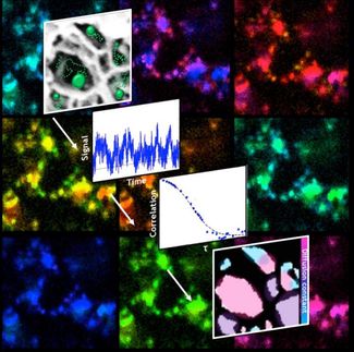nanoscale pores