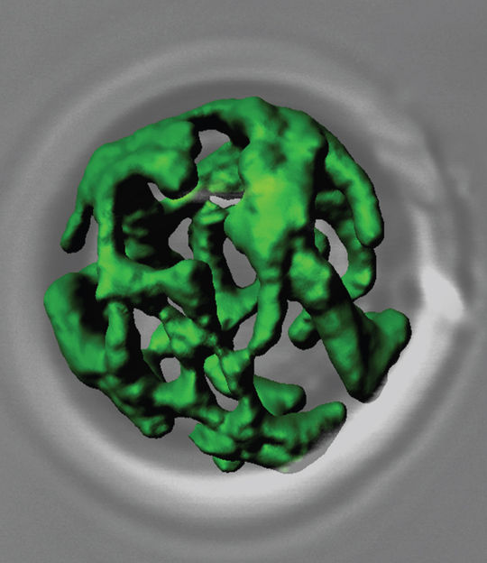 Neuer Importweg in die Zellkraftwerke - Forscher haben mithilfe von künstlichen Membranen gezeigt, wie ein bestimmtes Protein in Mitochondrien gelangt