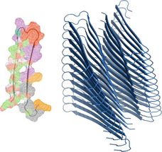amyloid bioinformatics misfolding